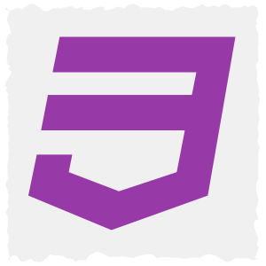 CSS 3 logo image